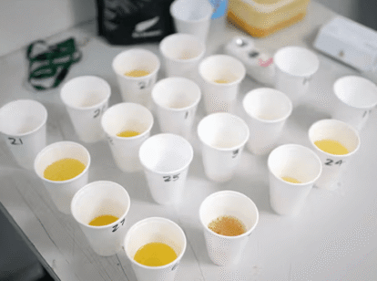 Why 14 Panel Cups Are Becoming the Preferred Choice for Thorough Drug Screening