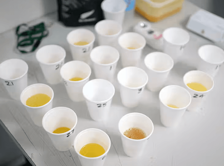 Why 14 Panel Cups Are Becoming the Preferred Choice for Thorough Drug Screening