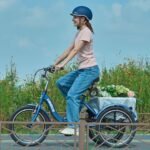 The Role of E-Trikes in Promoting Sustainable Local Transportation